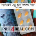 Kamagra Oral Jelly 100Mg How To Use 44